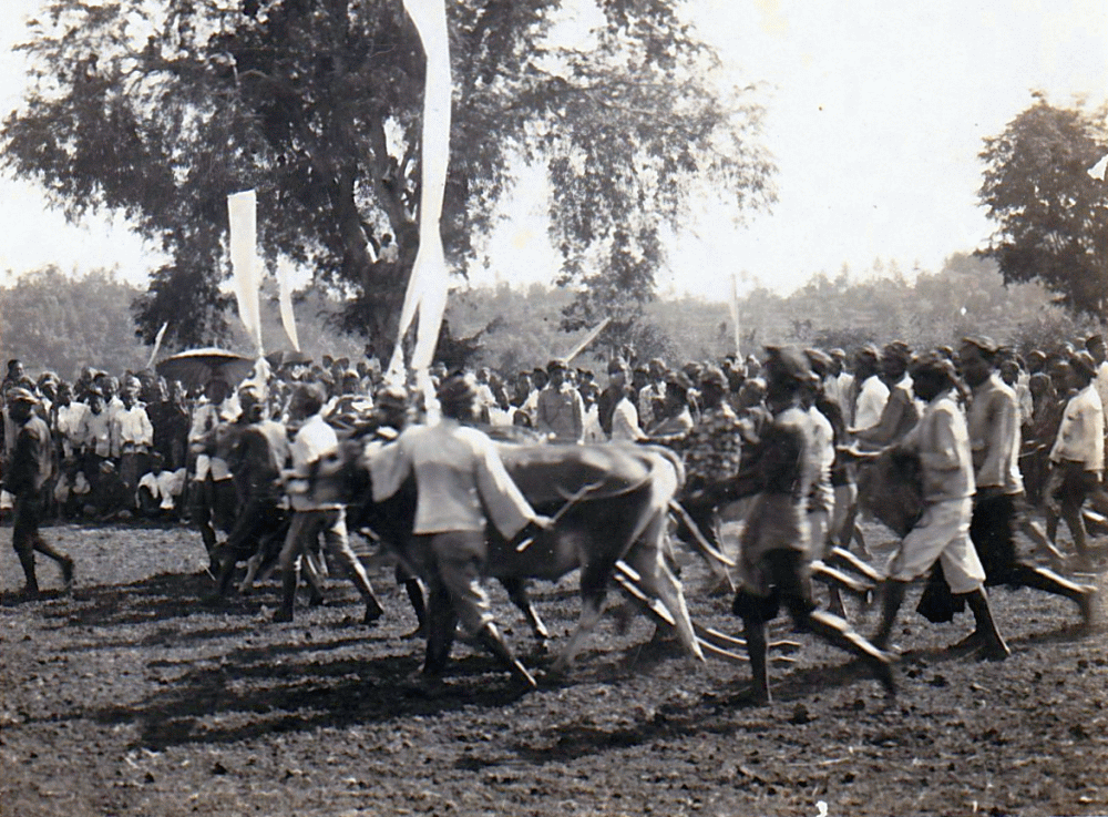 Adrien Henri MG (1873-1965) - Madura stierenrennen circa 1923